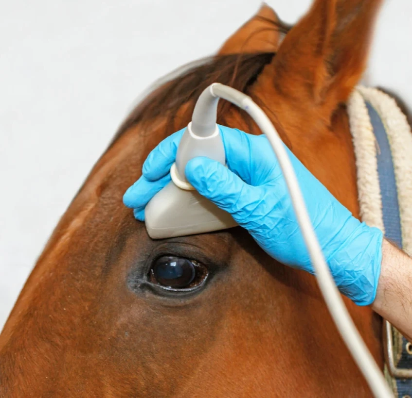 Poly Med Solutions Echographe Samsung Le Mans Notre Galerie Photos 05 1