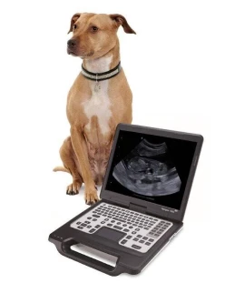 Poly Med Solutions Echographe Samsung Le Mans POLY MED SOLUTIONS Echographe Veterinaire Au Mans 2